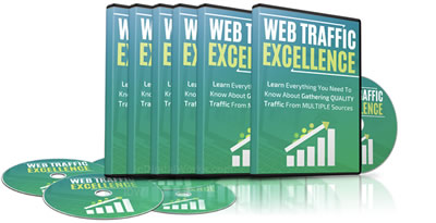 Web Traffic Excellence